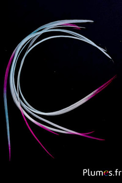 Coq rooster - 23-28 cm - vert d´eau-blanc-fuchsia